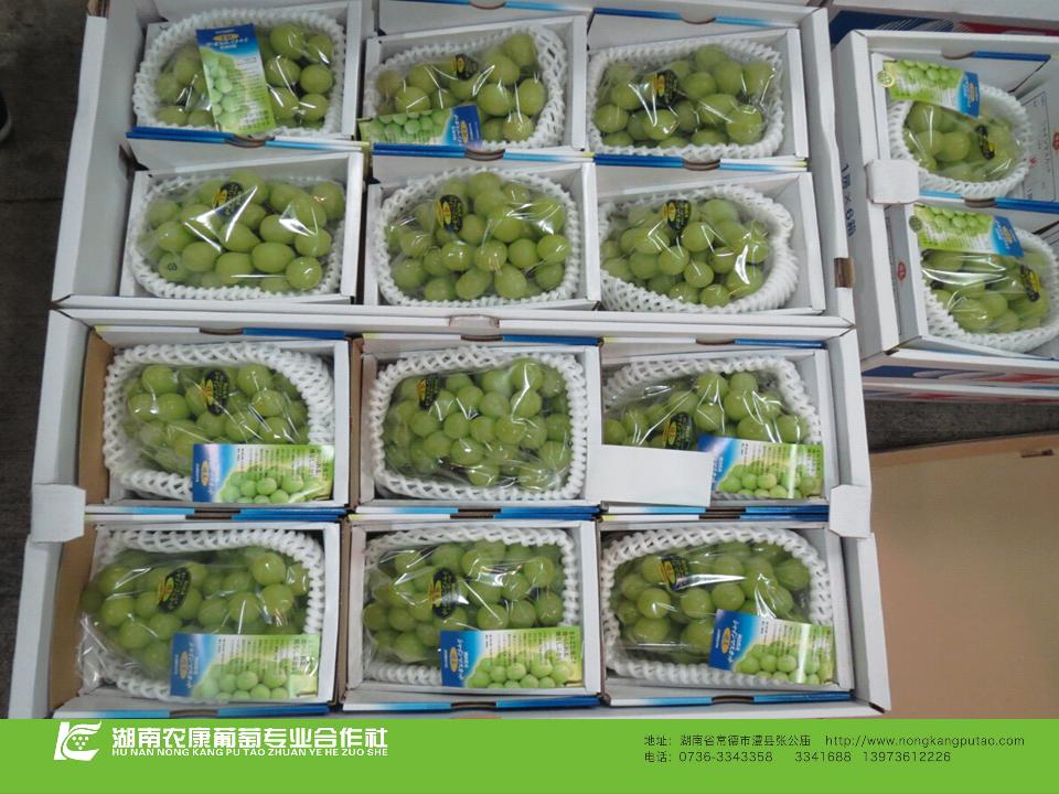 幻灯片65