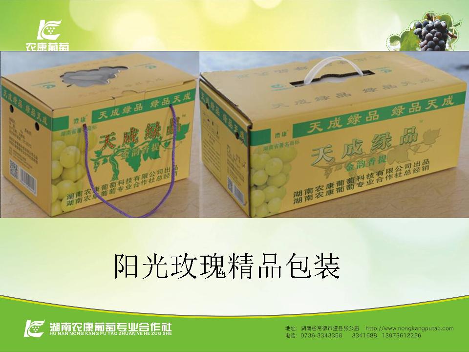 幻灯片66