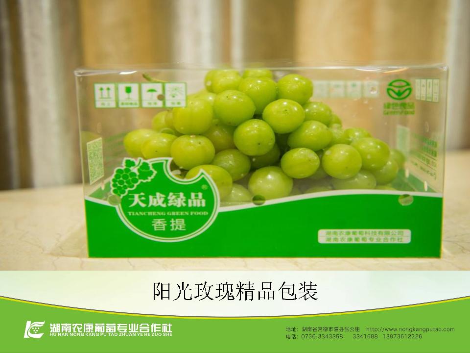 幻灯片67