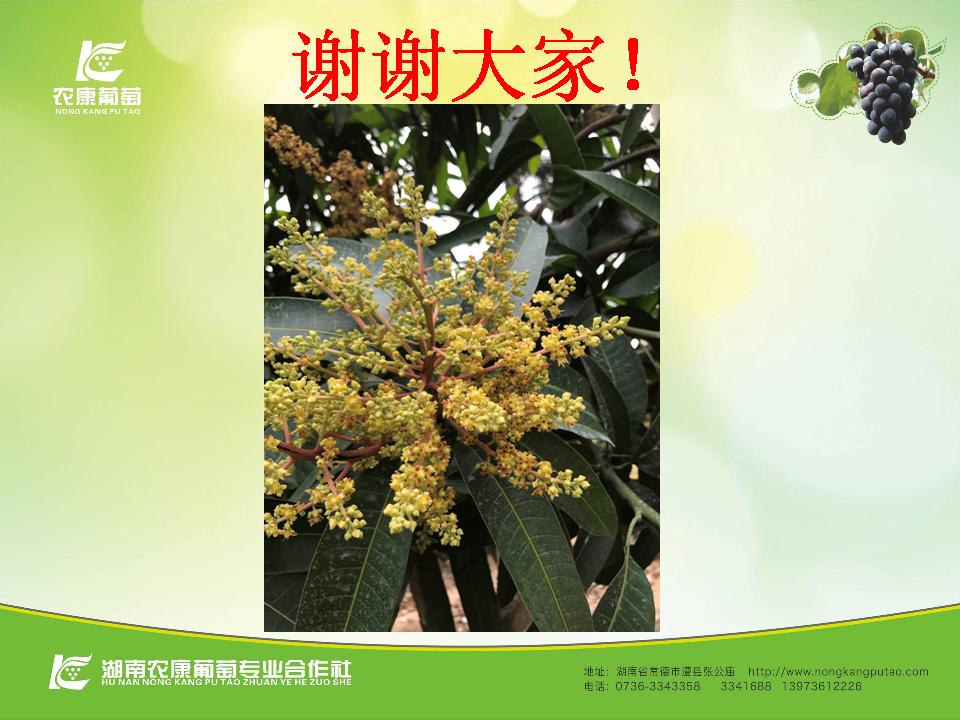 幻灯片68