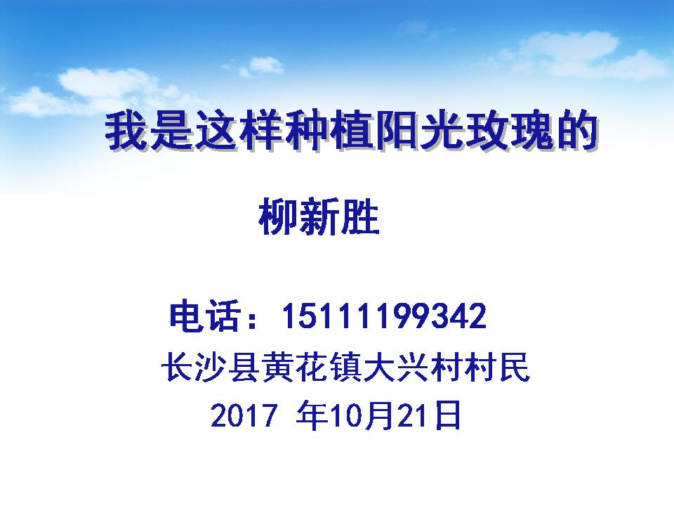 幻灯片1