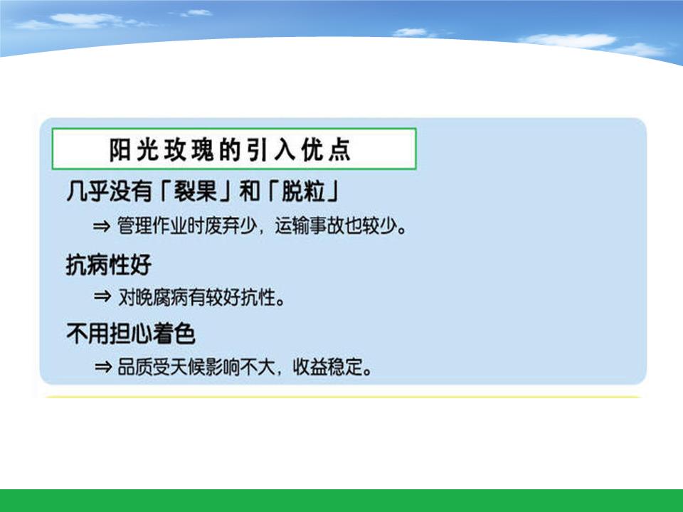 幻灯片3
