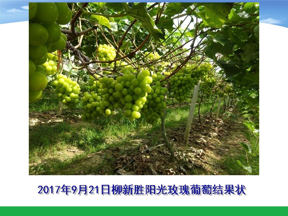幻灯片6