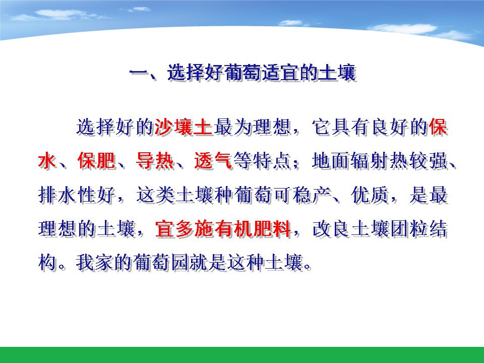幻灯片8