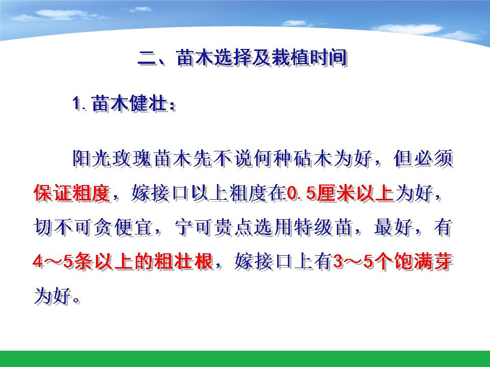 幻灯片9