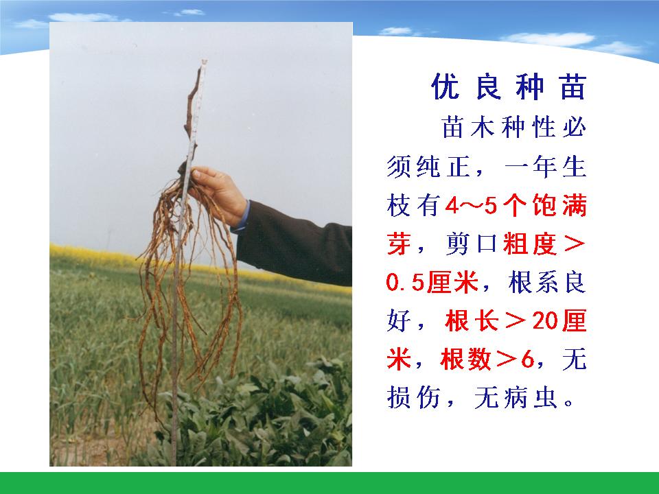 幻灯片10