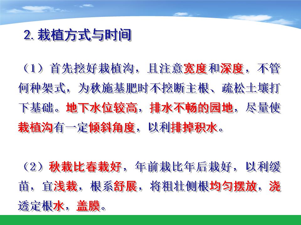 幻灯片11