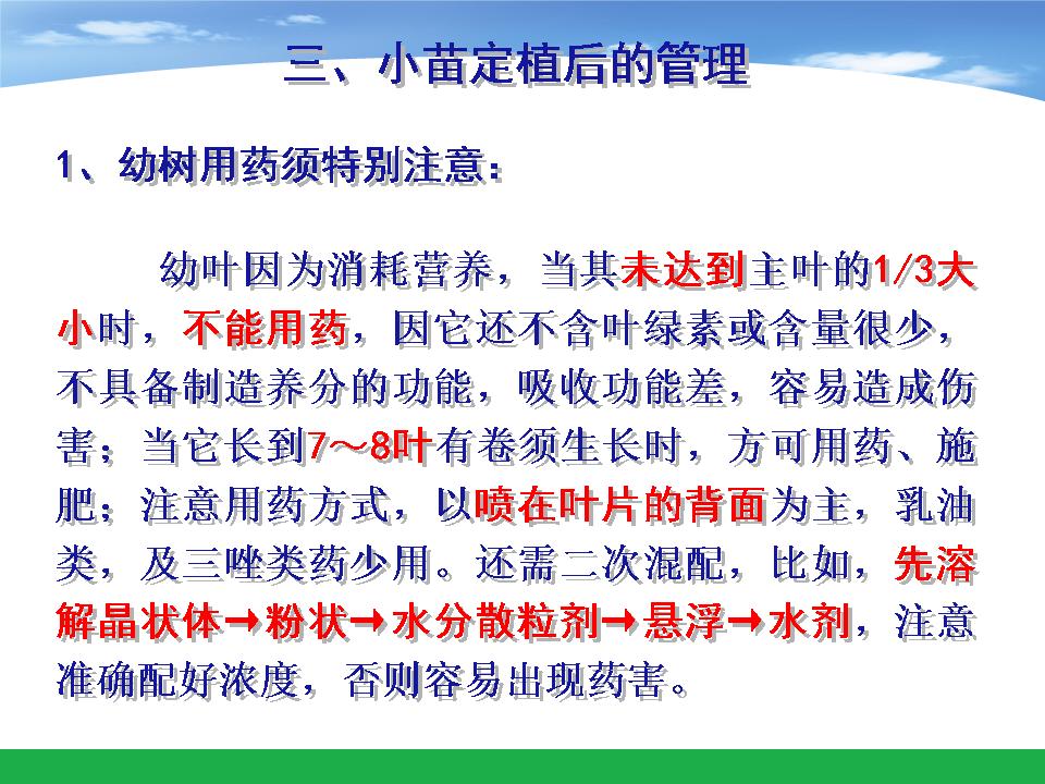 幻灯片13