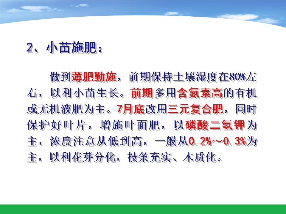幻灯片14