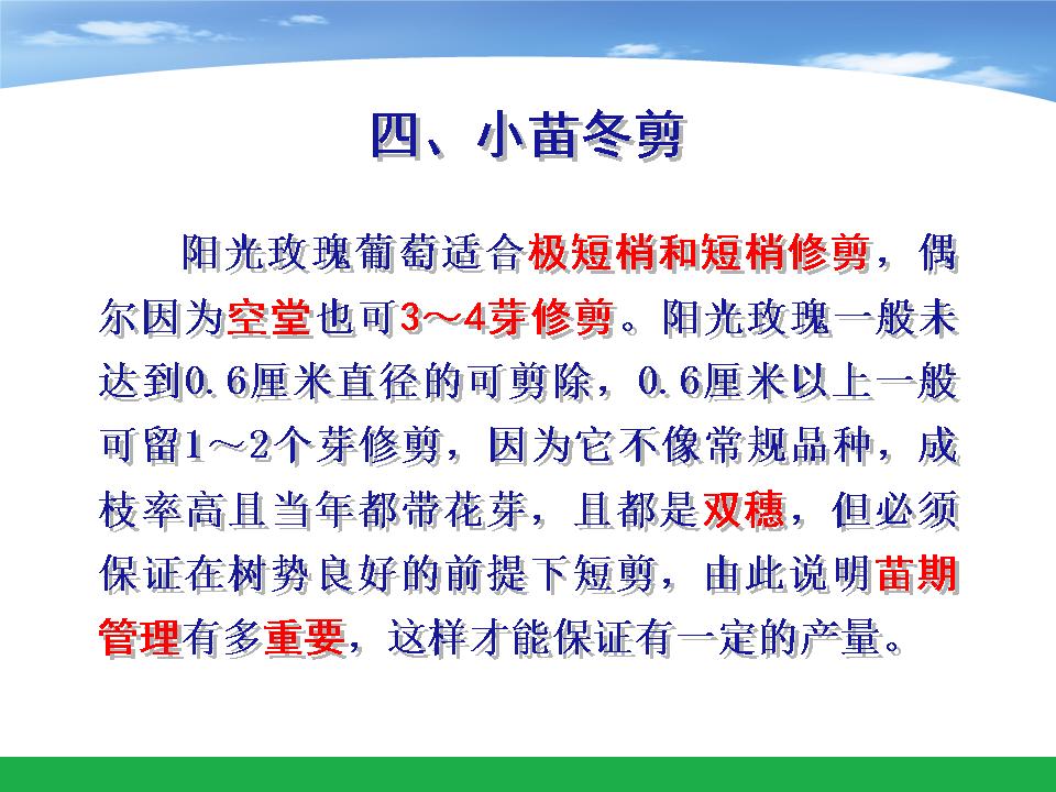 幻灯片15