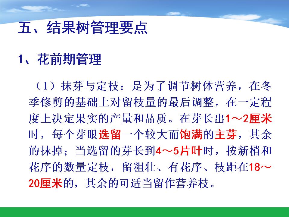 幻灯片16