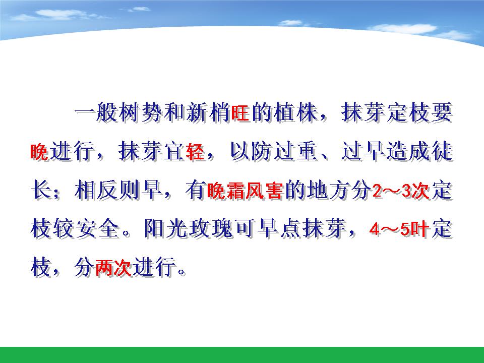 幻灯片17