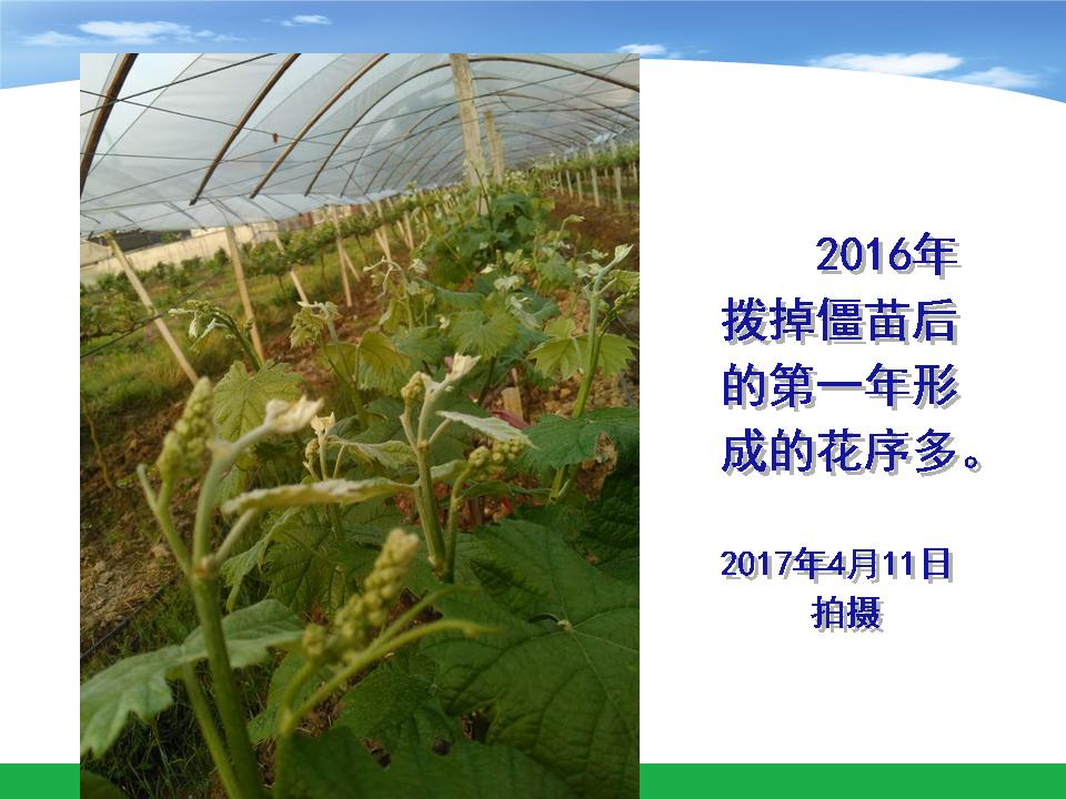 幻灯片19