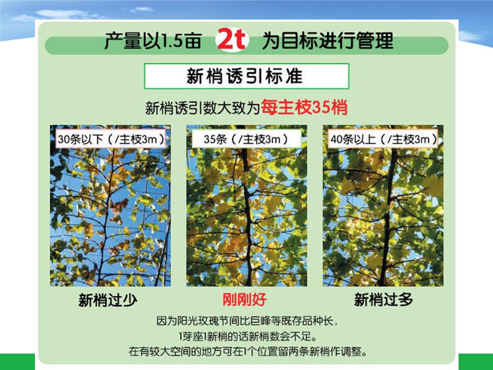 幻灯片20