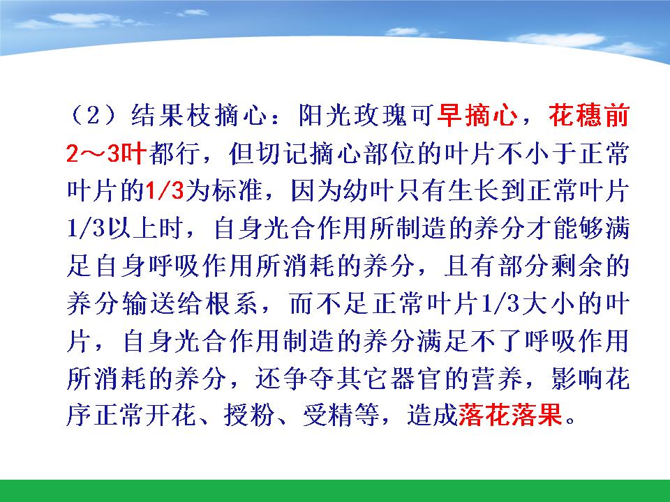 幻灯片21