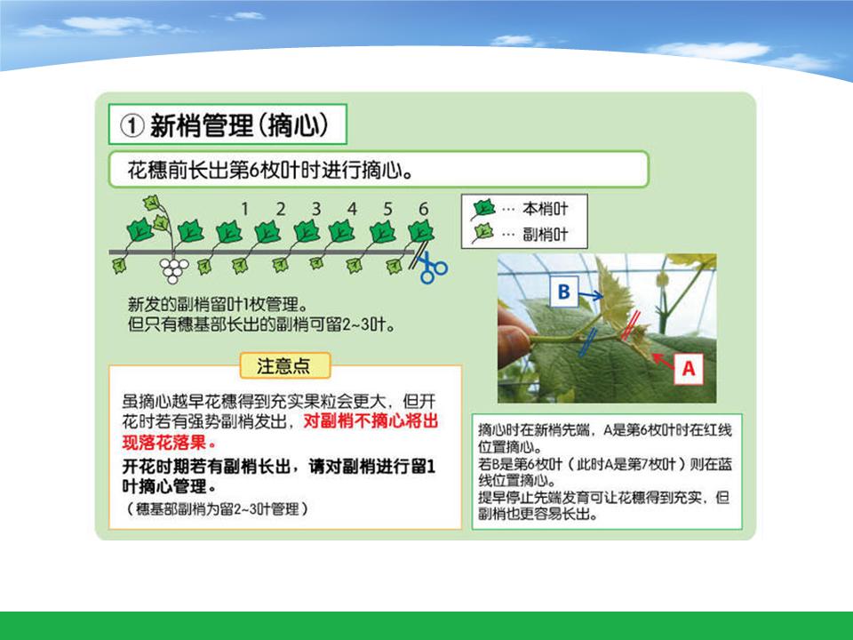 幻灯片23