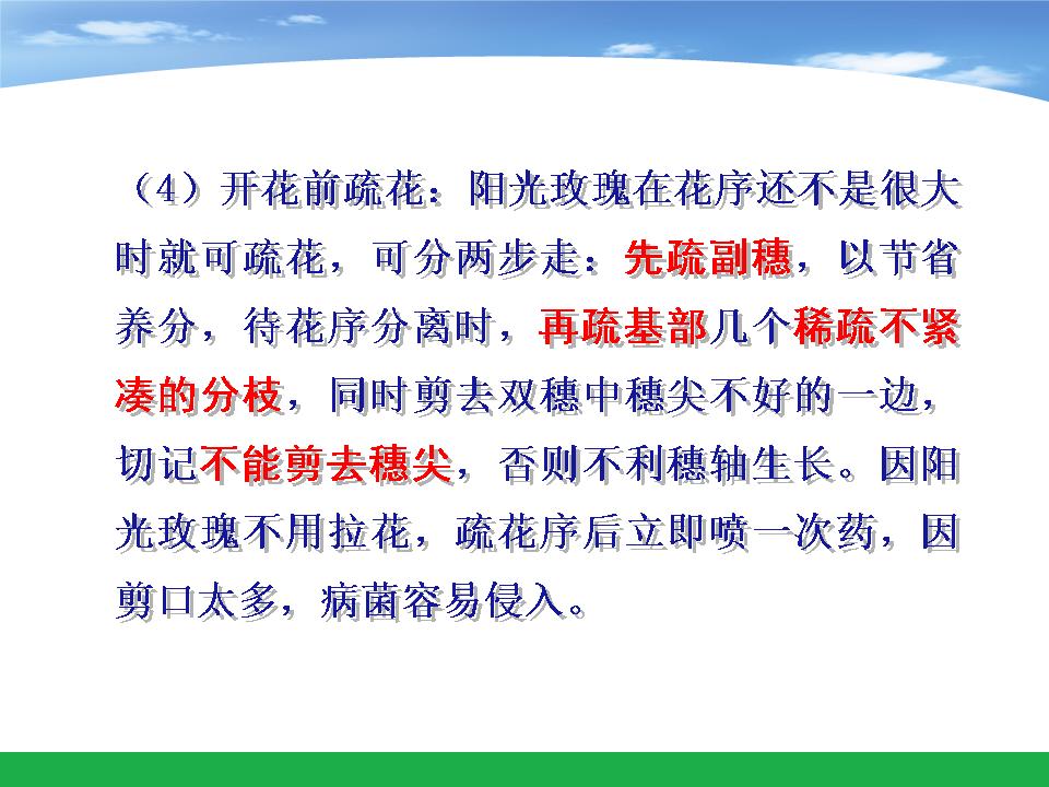 幻灯片24
