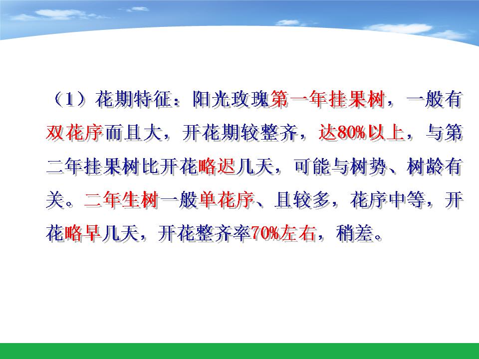 幻灯片28