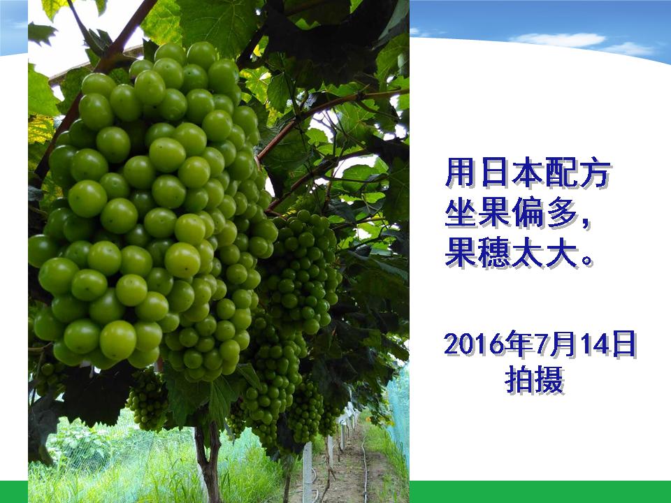 幻灯片32