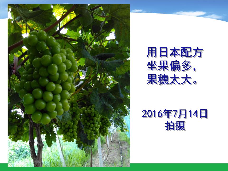 幻灯片33