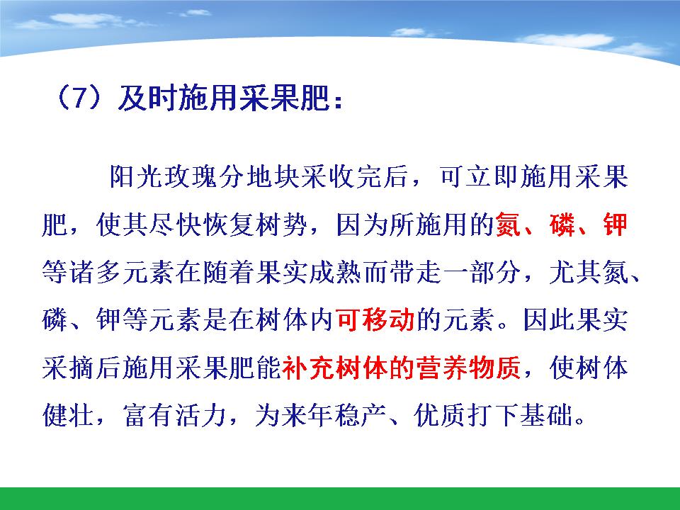 幻灯片41
