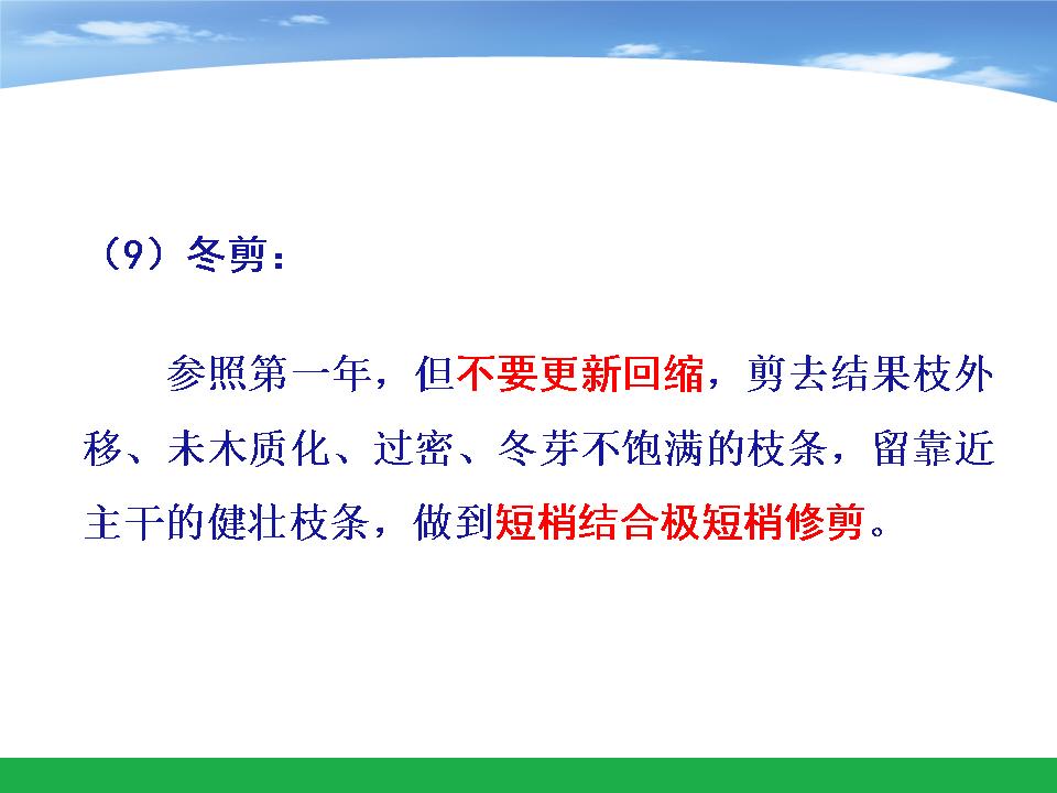 幻灯片49