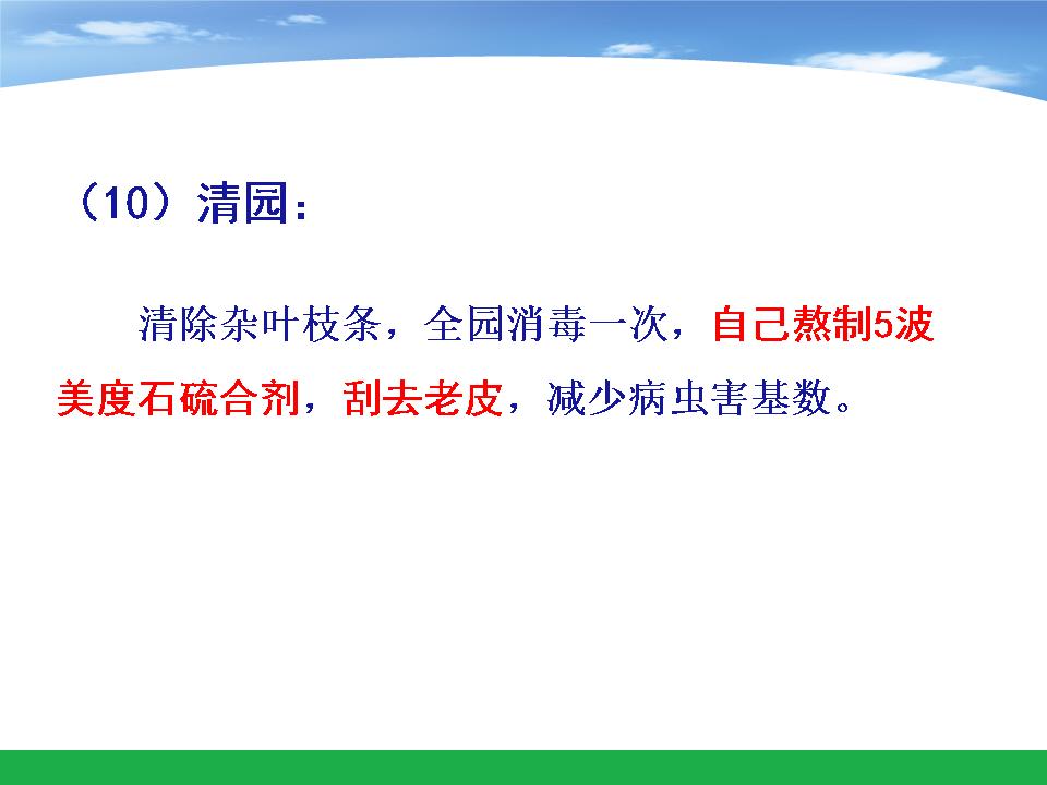 幻灯片53