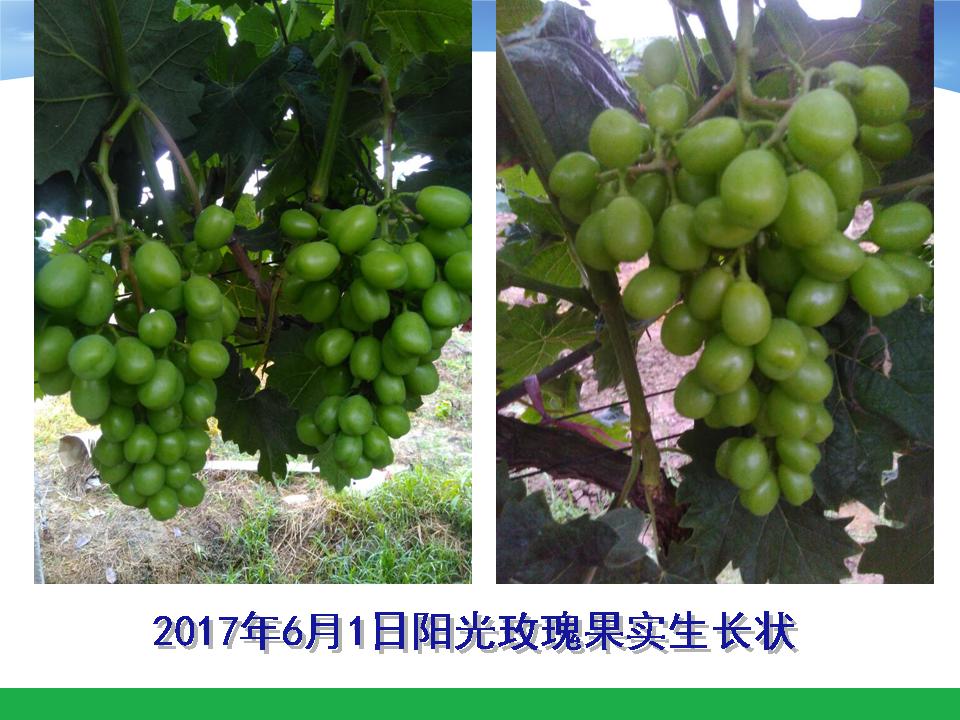 幻灯片54