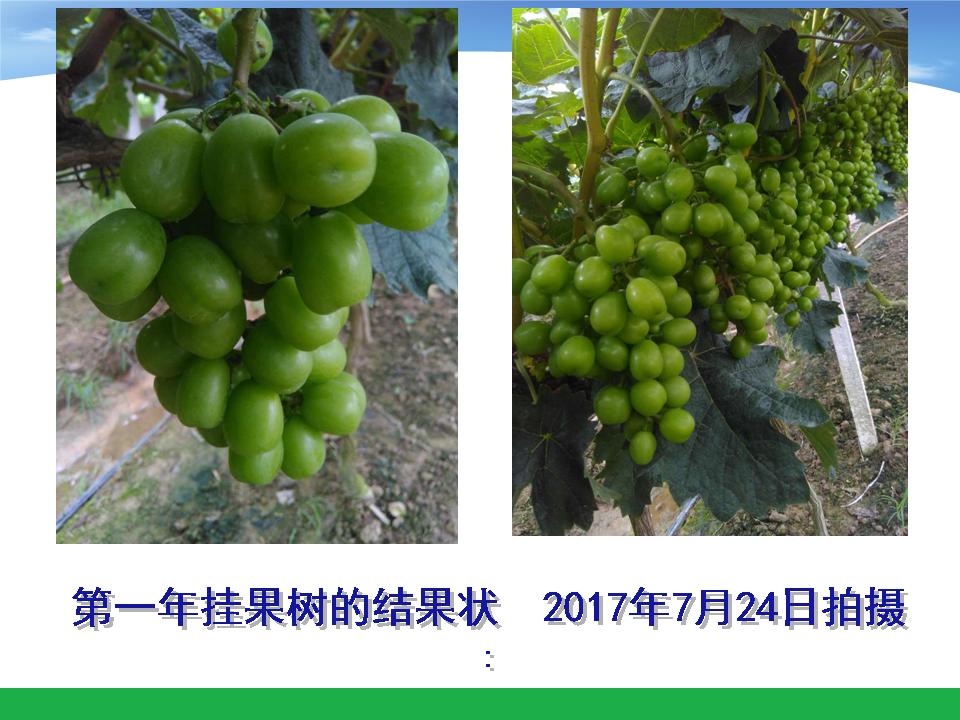 幻灯片55