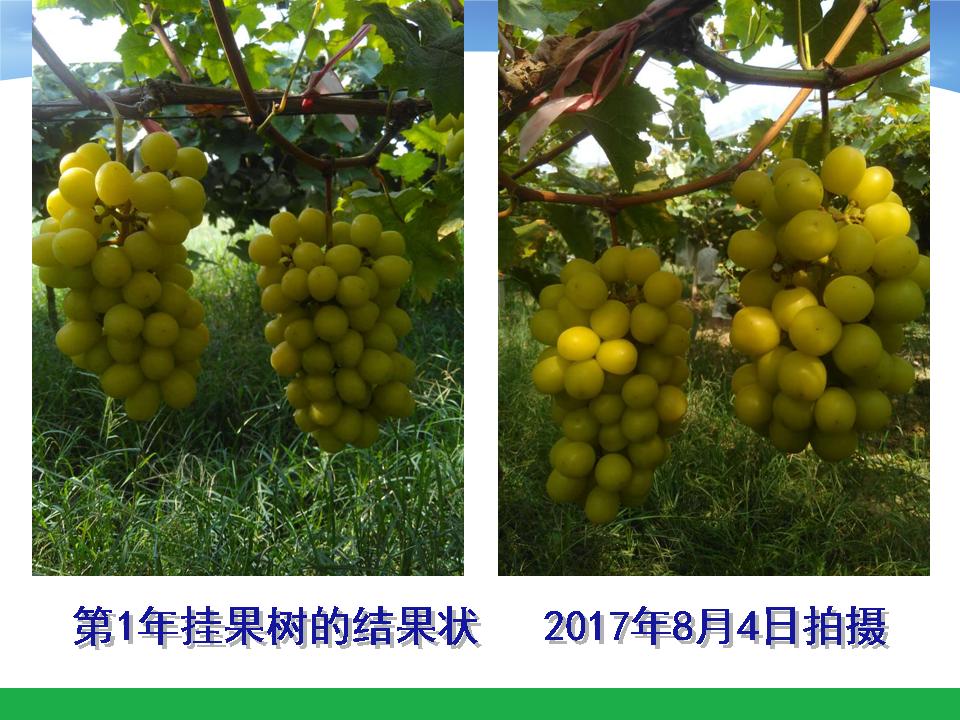 幻灯片56