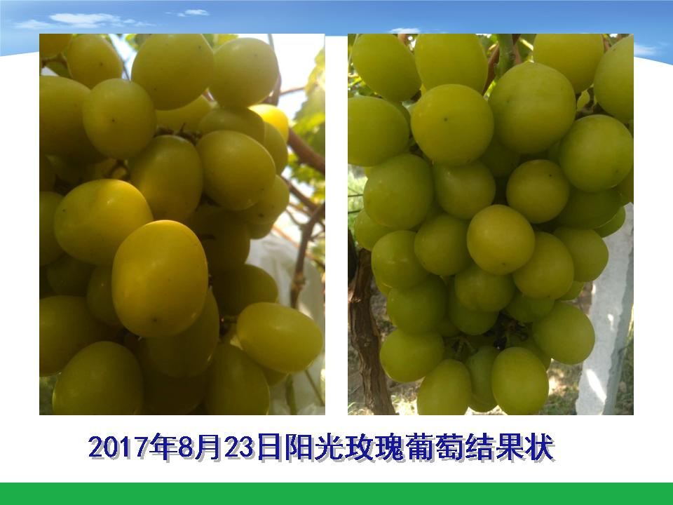 幻灯片57
