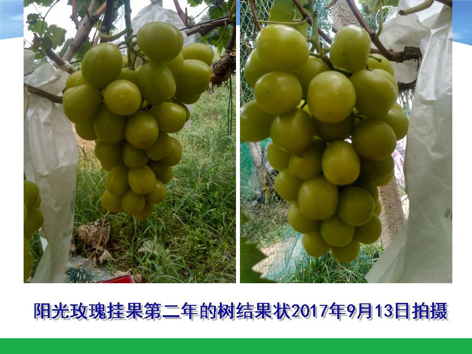 幻灯片58