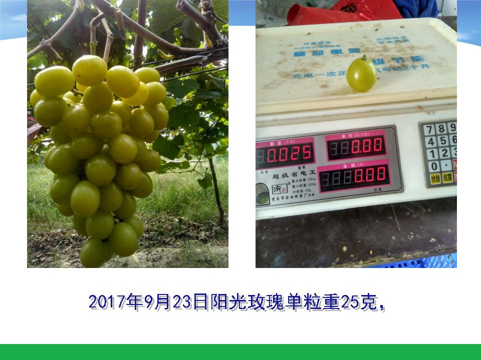 幻灯片60