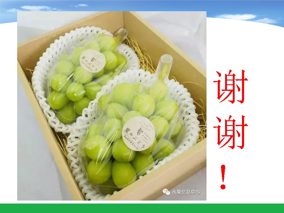 幻灯片63