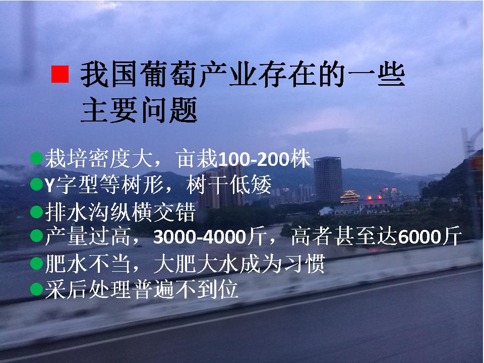 幻灯片7