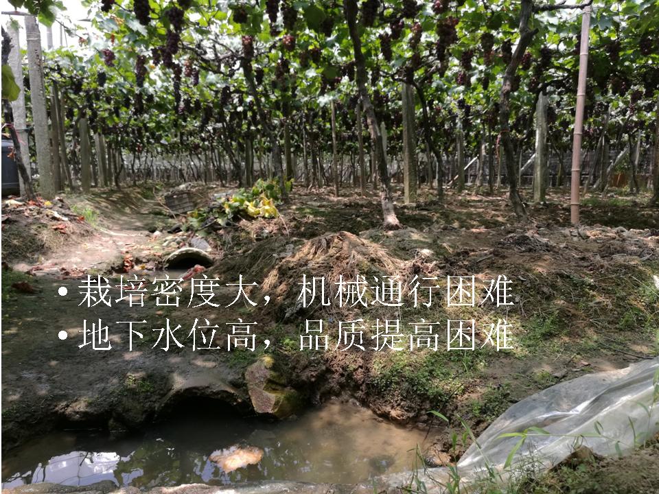 幻灯片8