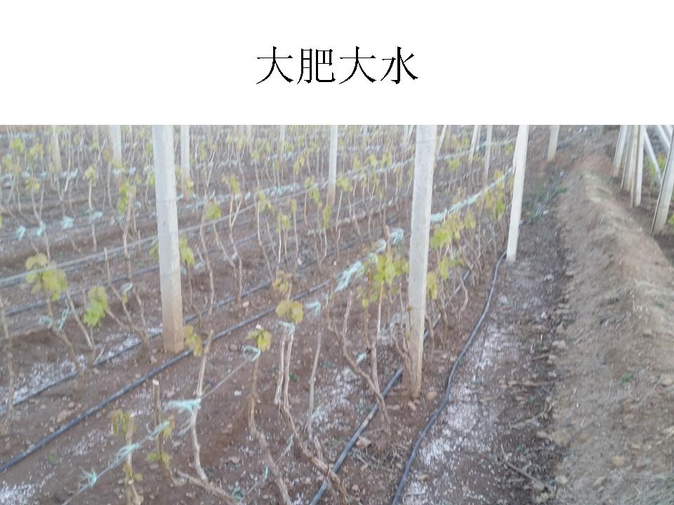 幻灯片11