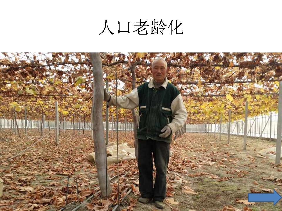 幻灯片12
