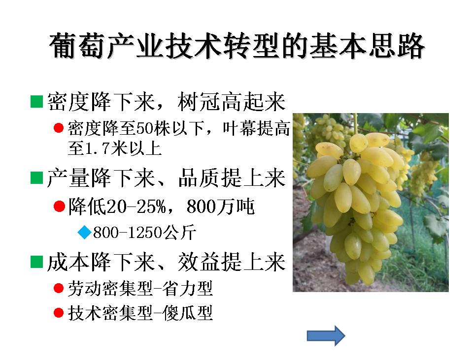 幻灯片13