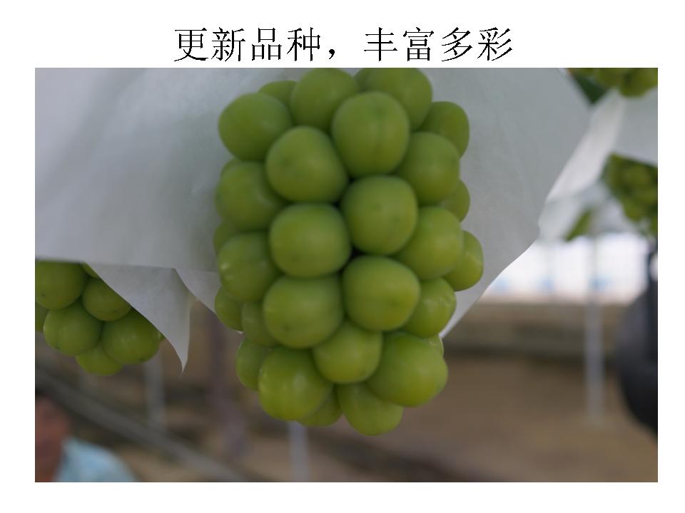 幻灯片15