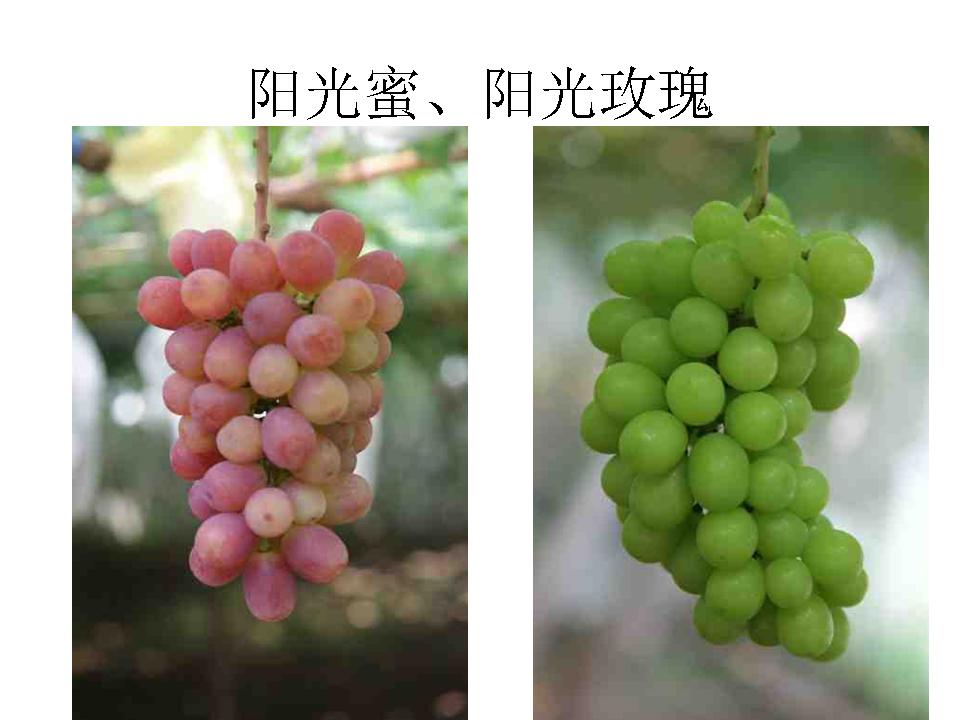 幻灯片18