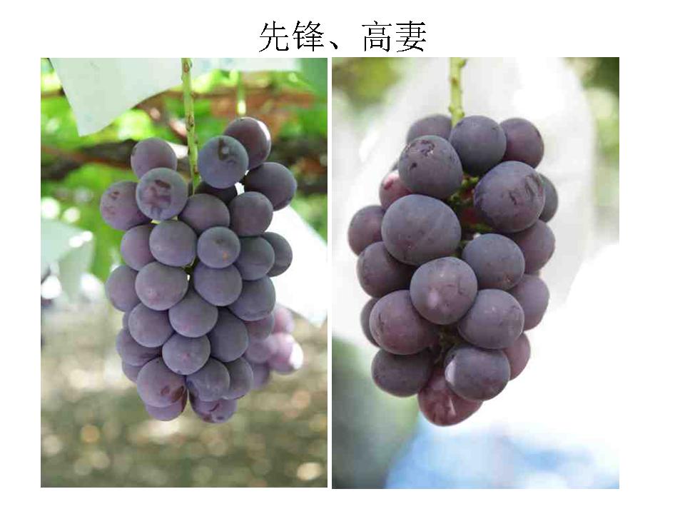 幻灯片19