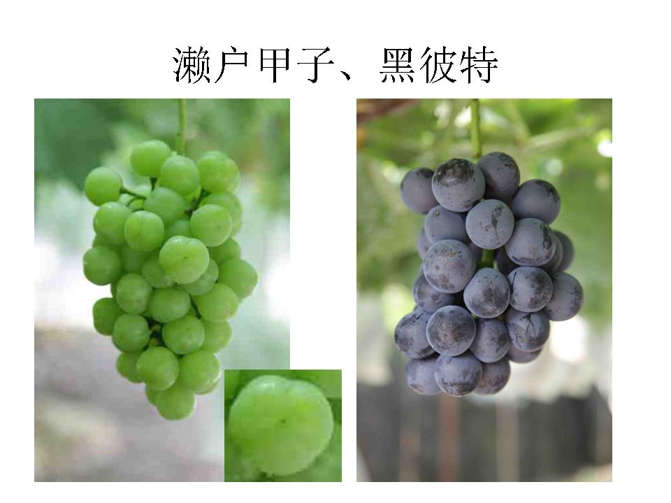 幻灯片20