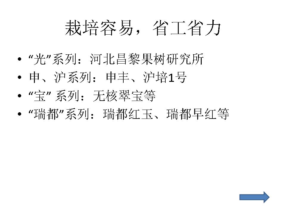 幻灯片21