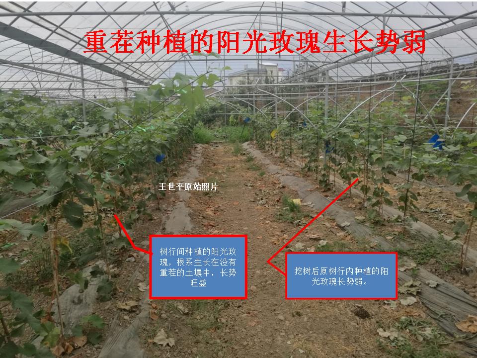 幻灯片22