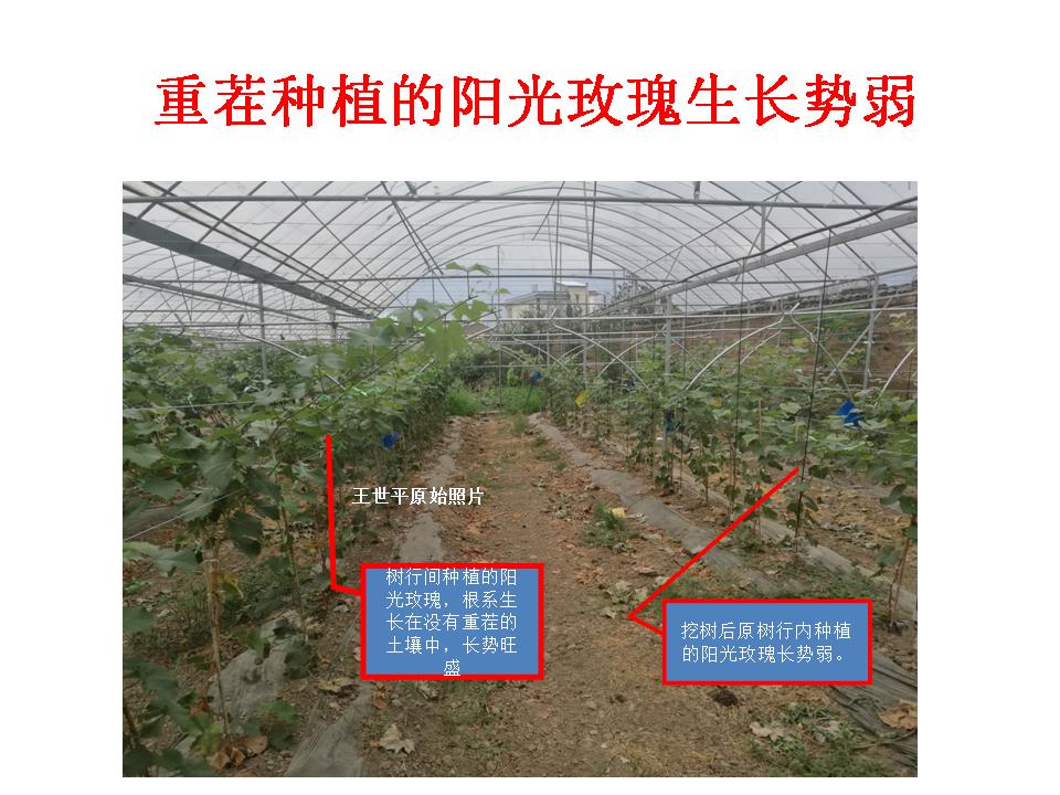幻灯片23