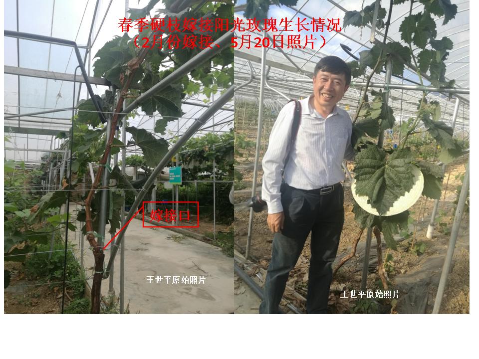 幻灯片24