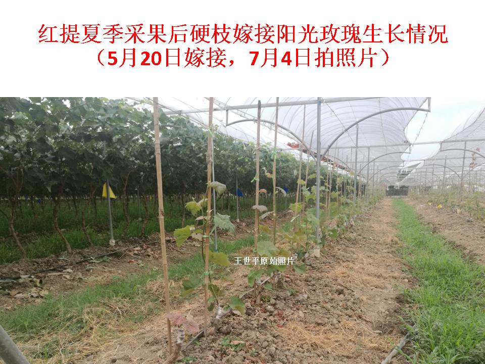幻灯片26