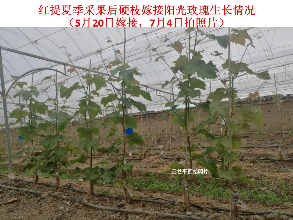 幻灯片27