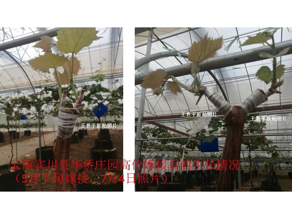 幻灯片30